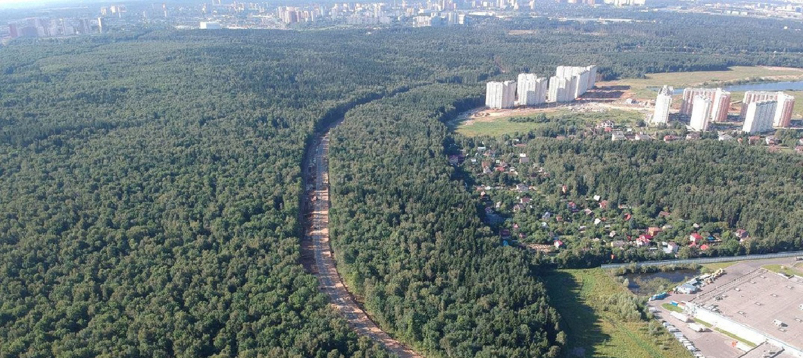 Ульяновский лесопарк